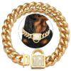 Gold Dog Walking Training Collar with Heavy Duty Cuban Link Chain and Secure Buckle