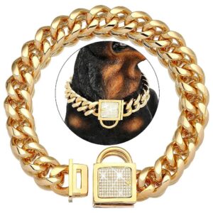 Gold Dog Walking Training Collar with Heavy Duty Cuban Link Chain and Secure Buckle