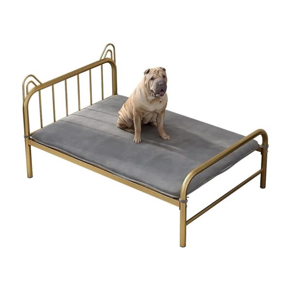 Gold Elevated Dog Bed Frame with Orthopedic Soft Mat for Dogs and Cats