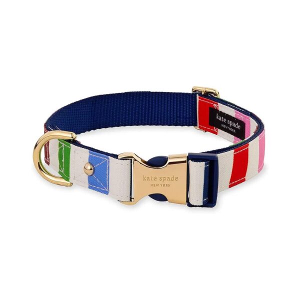 Gold Metal Buckle Dog Collar for Female and Male Dogs with Adjustable Length