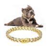 Gold Metal Chain Dog Collar for Small Medium Large Dogs with Strong Buckle