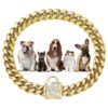 Gold Metal Dog Walking Chain Collar with Bling CZ Buckle for Small to Medium Canines