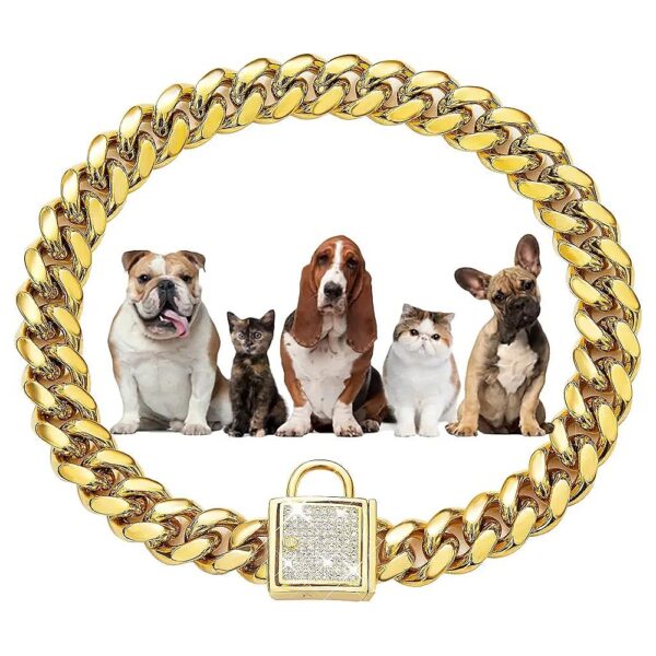 Gold Metal Dog Walking Chain Collar with Bling CZ Buckle for Small to Medium Canines