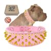 Gold Spiked Dog Collars with Squeak Ball and Protection for Medium Large Breed Girl Pets