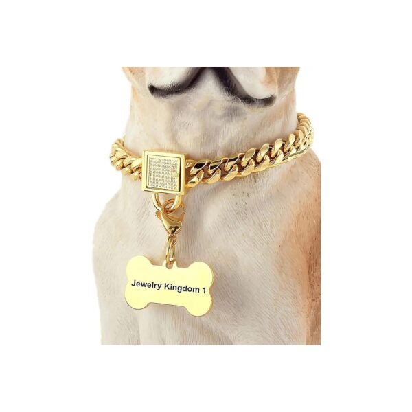 Gold Stainless Steel Dog Chain Collar with Cubic Zirconia Stones and Buckle