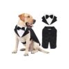 Golden Retriever Dog Costume Wedding Outfit for Large Dogs