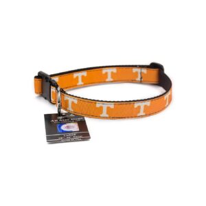 Golden Tennessee Volunteers Large Buckle Ribbon Dog Collar for Dogs