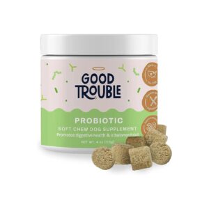 Good Digestion and Immune System Support for Dogs through Advanced Probiotic Formula