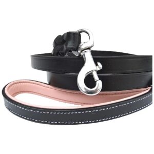 Good Quality Leather 6 Foot Dog Leash with Padded Handle for Large Female Dogs