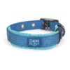 Good Scout Dog Collar with Heavy Duty Hardware and Adjustable Size for Perfect Fit