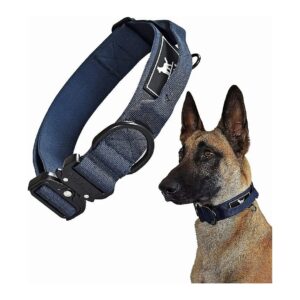 Grade Adjustable Nylon Dog Collar with Metal Buckle and Quick-Release Button