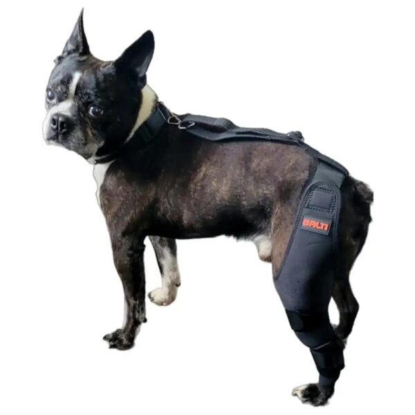 Grade Dog Knee Immobilizer for Injured Torn ACL Luxating Patella Left Leg