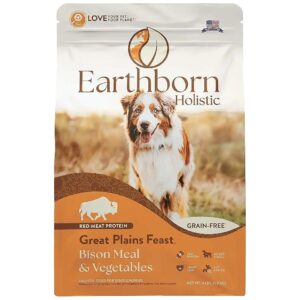 Grain-Free, Gluten-Free, and Potato-Free Dry Dog Food with Bison Meal and Vegetables