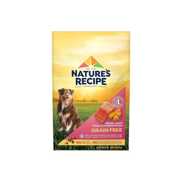 Grain Free Salmon Sweet Potato and Pumpkin Dry Dog Food 12 Pound Bag