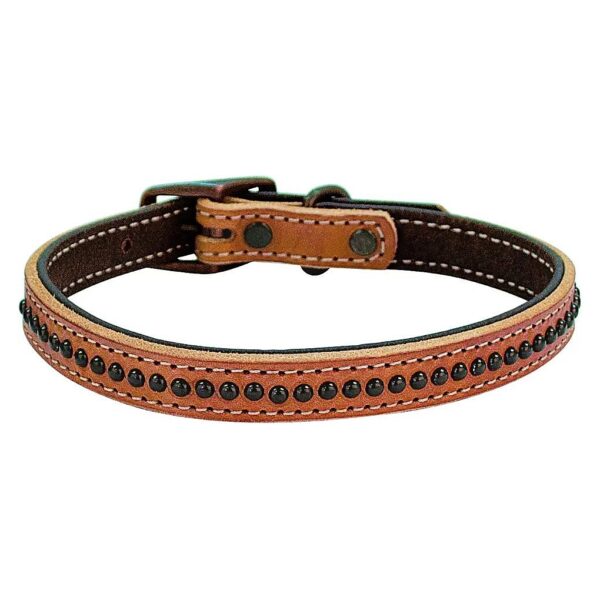 Grain Leather Effect Dog Collar with Wheat Stitching and Golden Brown Color