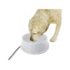 Granite Colored Heated Pet Water Bowl for Cats and Dogs in Cold Temperatures