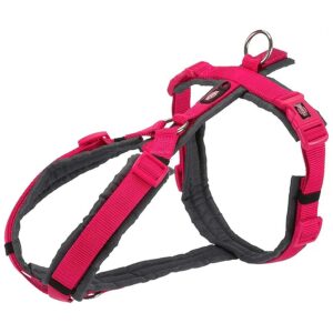 Graphite Fuchsia Trekking Dog Harness with Soft Padding and Padded Strap