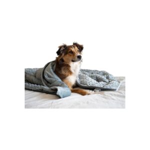 Gray Large 6 Pound Premium Minky Fabric Weighted Dog Blanket for Anxious Pups