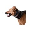 Great for Small and Medium Sized Breeds 16-20 Neck Diameter Collar