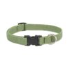 Green Adjustable Dog Collar for Medium and Larger Dogs Plastic