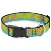 Green Aqua Orange Polyester Dog Collar for Small to Medium Dogs, 15-24 Inch