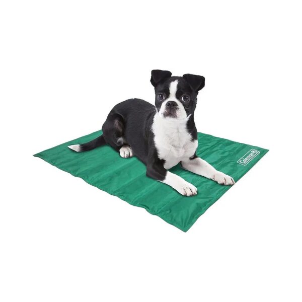 Green Cooling Mat for Small Pets with Cooling Gel for Easy Cleaning