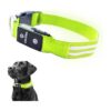 Green Dog Collar with USB Rechargeability and Waterproof Design