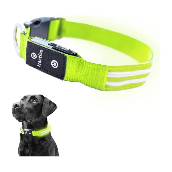 Green Dog Collar with USB Rechargeability and Waterproof Design