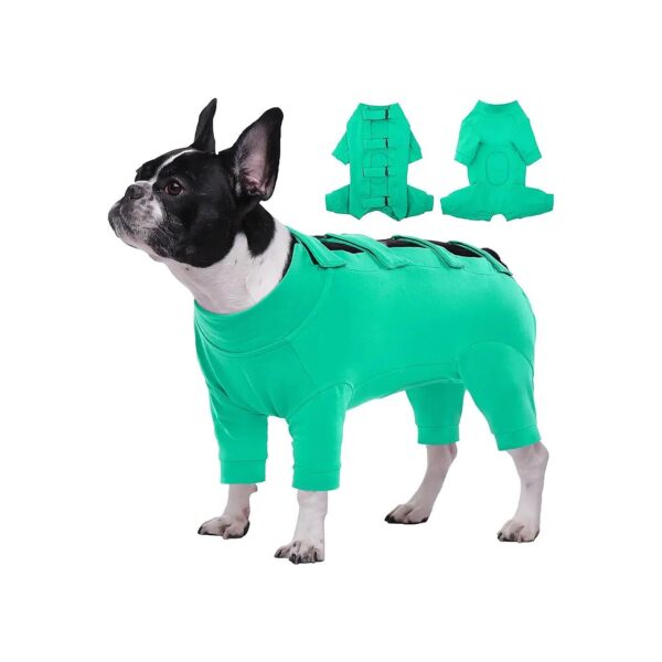 Green Dog Surgical Suit for Spay Neuter and Skin Conditions