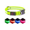 Green LED Adjustable Dog Collar with USB Rechargeable Super Bright Safety Light