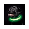 Green LED Dog Collar for Small Medium and Large Dogs with Adjustable Length