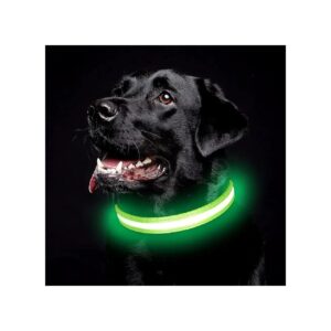 Green LED Dog Collar for Small Medium and Large Dogs with Adjustable Length