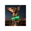 Green LED Dog Collar with USB Rechargeable Flashlight for Safe Night Walking