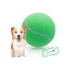 Green Large Tennis Ball for Small Medium and Large Dogs