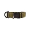 Green Medium Dog Collar with Extra Wide Design and Durable Metal Construction