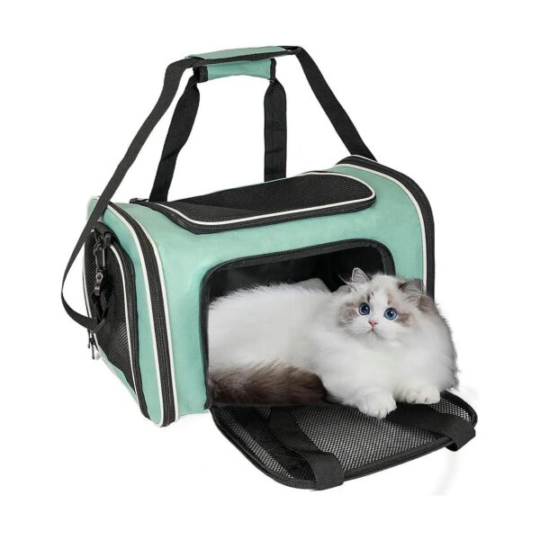 Green Medium Soft Sided Cat Dog Carrier with Breathing Windows and TSA Airline Approval