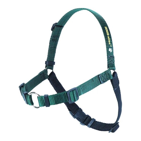 Green Nylon Dog Harness with Front-Leash Attachment for Medium Breed