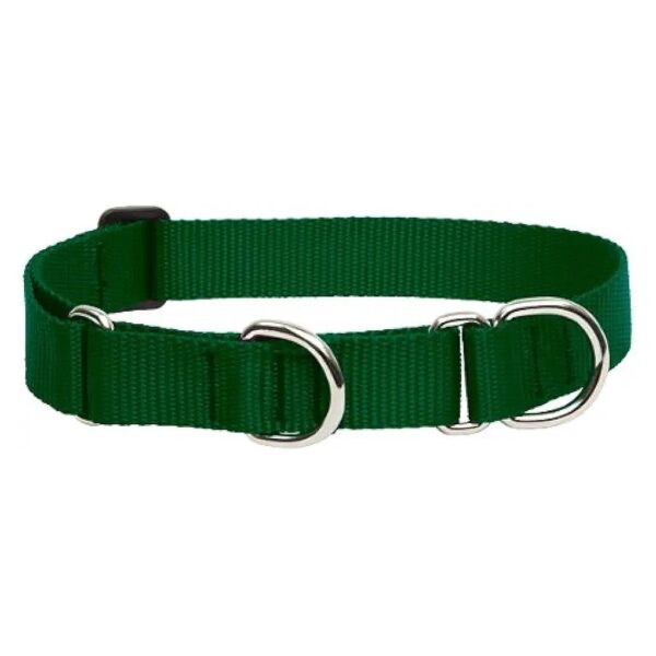 Green Nylon Martingale Collar for Medium and Larger Dogs Training Companion