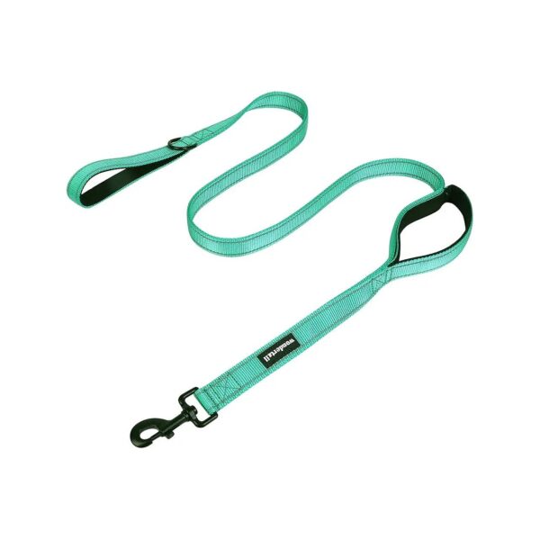 Green Reflective Dog Leash with Two Handles for Small Medium Large Breeds