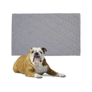 Grey Chew-Proof Dog Crate Mat for Small Puppies and Adults with Water-Resistant Liner