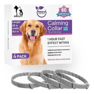 Grey Dog Calming Collar for Puppy Separation Anxiety Relief