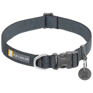 Grey Dog Collar for Everyday Activities, Including Walks and Runs