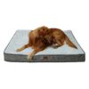 Grey Orthopedic Foam Support Pet Bed for Large and Extra Large Dogs with Washable Cover