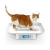 Grey Pet Scale for Puppy and Cats with Removable Tray Size 4 x 5 Inch