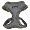 Grey Solid Suede Dog Harness for Training and Walking Small to Medium Pets