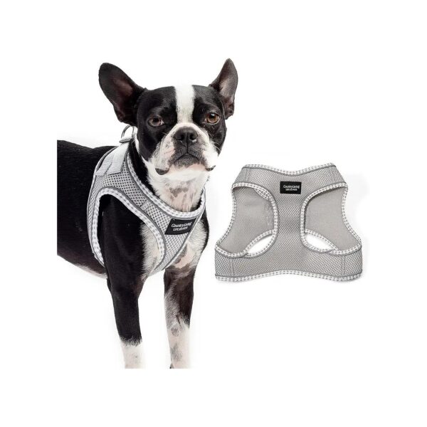 Grey XS Size No Pull Dog Harness for Small to Large Breeds with Adjustable Buckle