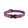 Guaranteed Adjustable Collar for Medium and Larger Dogs with Rose Garden Pattern