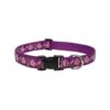 Guaranteed Adjustable Dog Collar for Large Breed Dogs