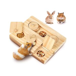 Guinea Pig and Rabbit Wooden Enrichment Toy Kit for Active Play and Learning