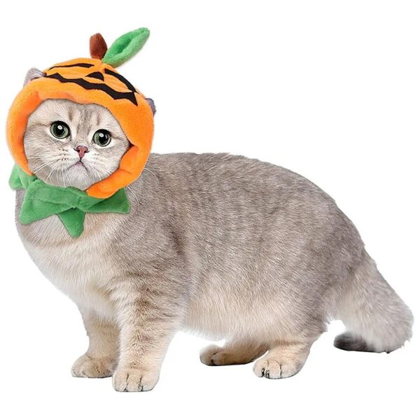 Halloween Cat Costumes Pumpkin Hat Pet Cosplay Costume Accessories